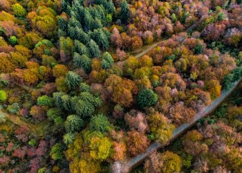 L’Oasi Zegna festeggia la Giornata Nazionale degli Alberi