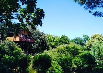 Nuova Convenzione Tessera Turit con la Casa sull’Albero (PG)