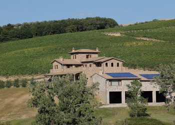 Nuova Convenzione Tessera Turit con l’Azienda Agricola SassodiSole (SI)