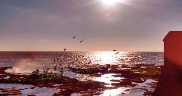 Uno sguardo sui meravigliosi paesaggi dell’Andalusia