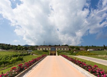 Nuova Convenzione Tessera Turit con l’Azienda Agricola Monte Zovo (VR)