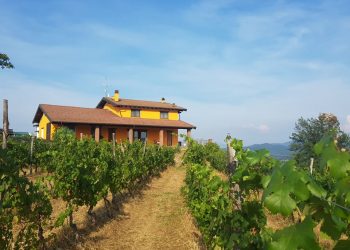 Nuova Convenzione Tessera Turit con l’Azienda Agricola Cantine Alma (AL)