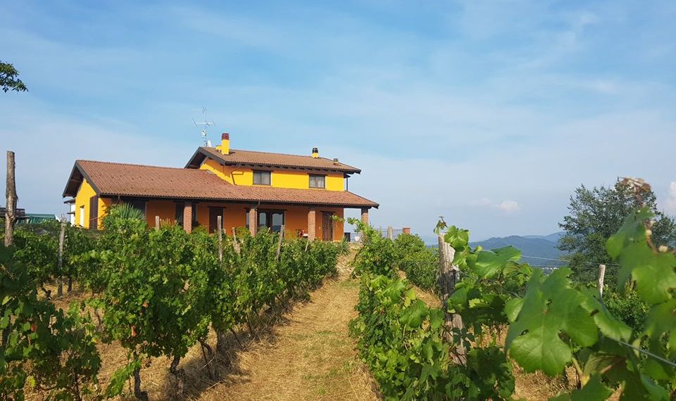 Nuova Convenzione Tessera Turit con l’Azienda Agricola Cantine Alma (AL)