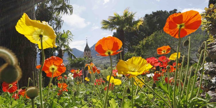 Merano Flower Festival: dal 28 al 30 maggio torna uno degli eventi primaverili più attesi