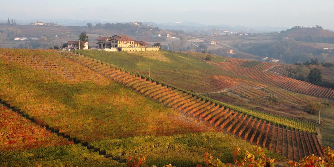 Nuova Convenzione Tessera Turit con l’Azienda Agricola Pecchenino (CN)