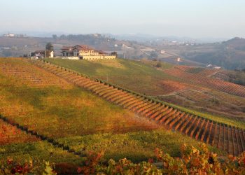 Nuova Convenzione Tessera Turit con l’Azienda Agricola Pecchenino (CN)