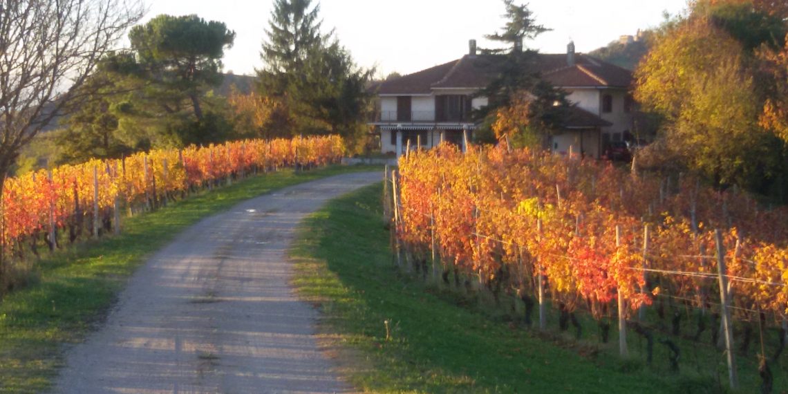 Nuova Convenzione Tessera Turit con la Cascina Torello (CN)