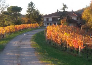 Nuova Convenzione Tessera Turit con la Cascina Torello (CN)