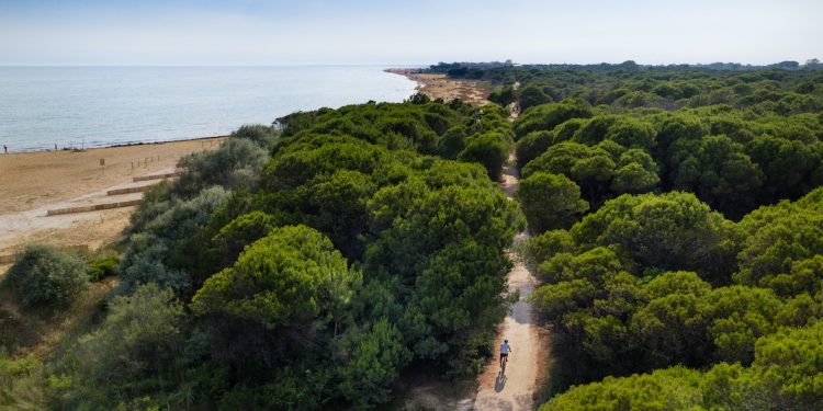 Turismo bike, a Bibione le prime ciclabili certificate per Google Maps