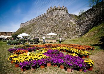 Dal 28 al 30 maggio in Lombardia torna Fiori nella Rocca