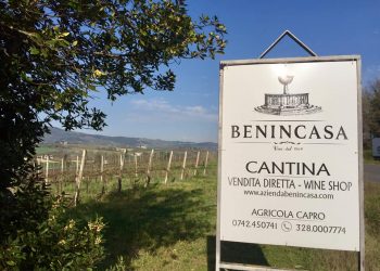 Nuova Convenzione Tessera Turit con la Cantina Benincasa (PG)