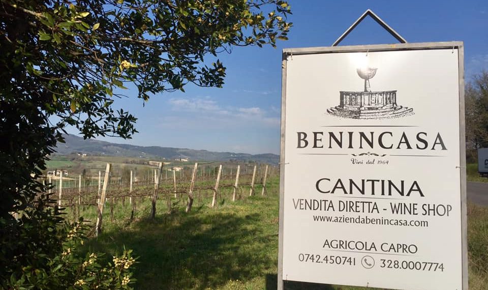 Nuova Convenzione Tessera Turit con la Cantina Benincasa (PG)