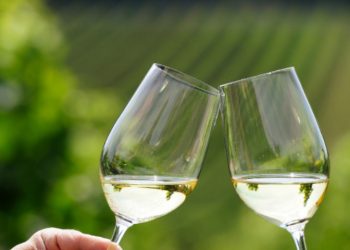 Sabato 29 e domenica 30 maggio torna Cantine Aperte