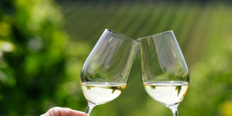 Sabato 29 e domenica 30 maggio torna Cantine Aperte