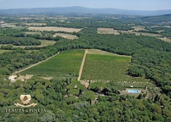 Nuova Convenzione Tessera Turit con la Tenuta la Pineta (AR)