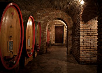 Nuova Convenzione Tessera Turit con l’Azienda Agricola Adanti (PG)