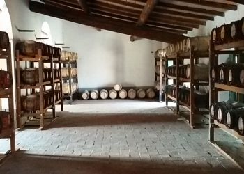 Nuova Convenzione Tessera Turit con la Fattoria di San Leo (AR)