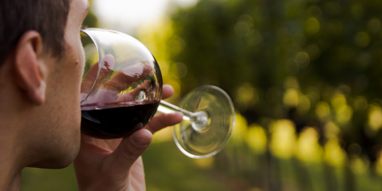 Movimento Turismo del Vino raddoppia con Cantine Aperte e Vigneti Aperti