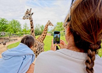Nasce il Lake Eyasi Resort, il primo glamping in un bioparco