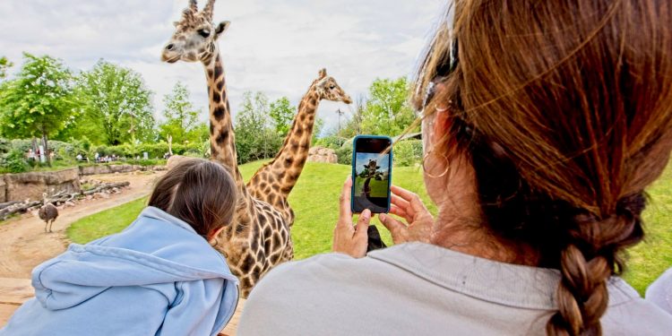 Nasce il Lake Eyasi Resort, il primo glamping in un bioparco
