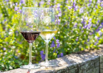 I migliori eventi da non perdere nel fine settimana 2-3-4 luglio