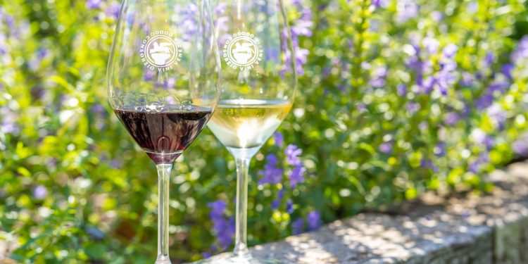 I migliori eventi da non perdere nel fine settimana 2-3-4 luglio