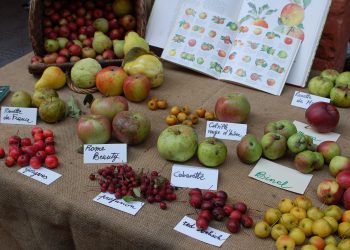 “Piante e Animali Perduti”: a Guastalla (RE) appuntamento con la natura