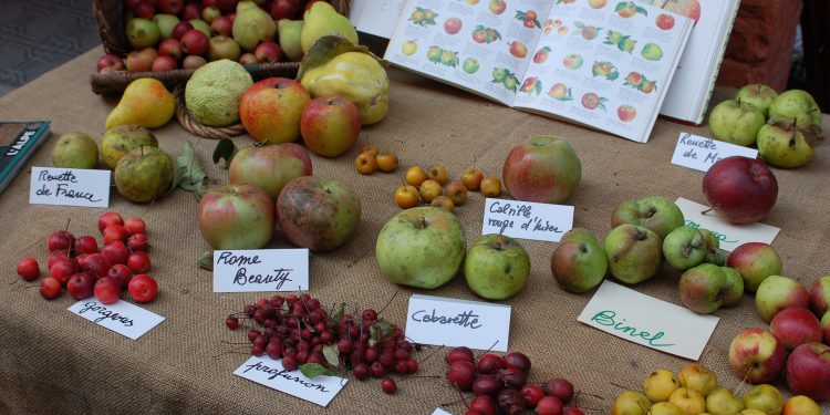 “Piante e Animali Perduti”: a Guastalla (RE) appuntamento con la natura