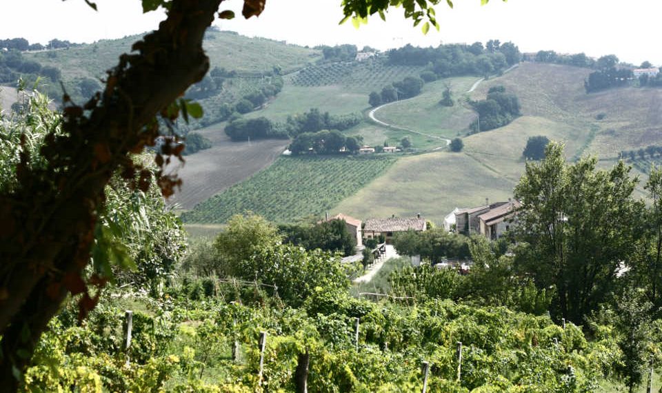 Nuova Convenzione Tessera Turit con l’Azienda Agricola Moroder (AN)