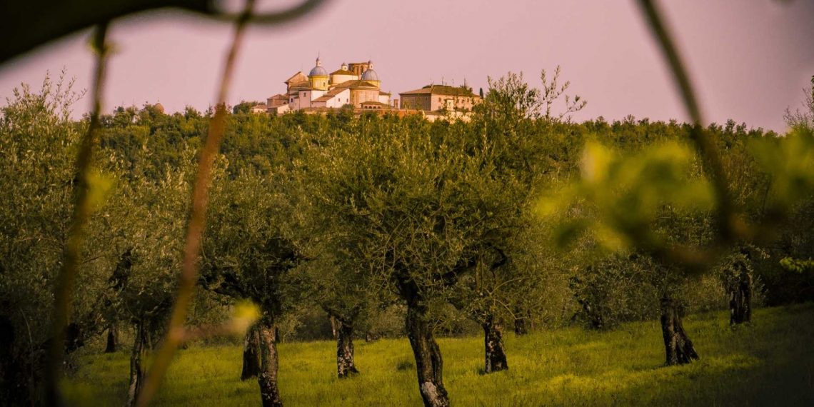 Nuova Convenzione Tessera Turit con il Frantoio Suatoni (TR)