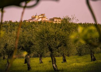 Nuova Convenzione Tessera Turit con il Frantoio Suatoni (TR)