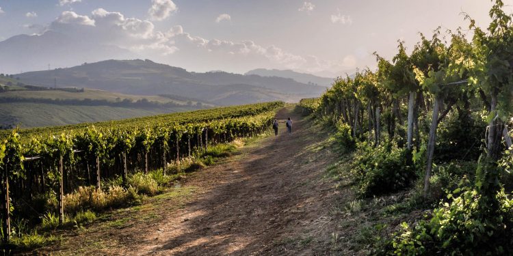 StraTerroir, quattro serate concerto per raccontare i vini d’Abruzzo