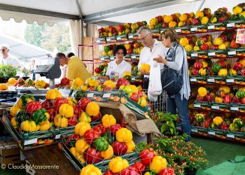 A Carmagnola (TO) arriva la 72^ Fiera Nazionale del Peperone