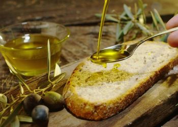 Nuova Convenzione Tessera Turit con l’Azienda del Carmine (AN)