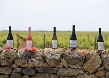 Nuova Convenzione Tessera Turit con la Masseria Cuturi (TA)