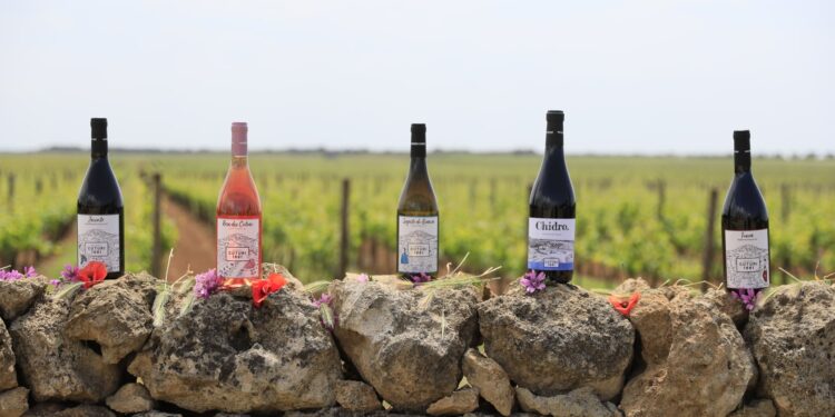 Nuova Convenzione Tessera Turit con la Masseria Cuturi (TA)