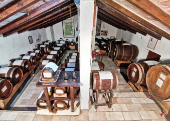 Nuova Convenzione Tessera Turit con l’Acetaia Fondo Toschina (MO)