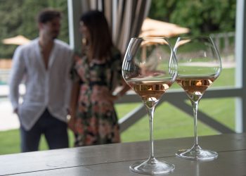 La Festa dell’Uva e del Vino in Cantina: un weekend per scoprire i vini del Lago di Garda