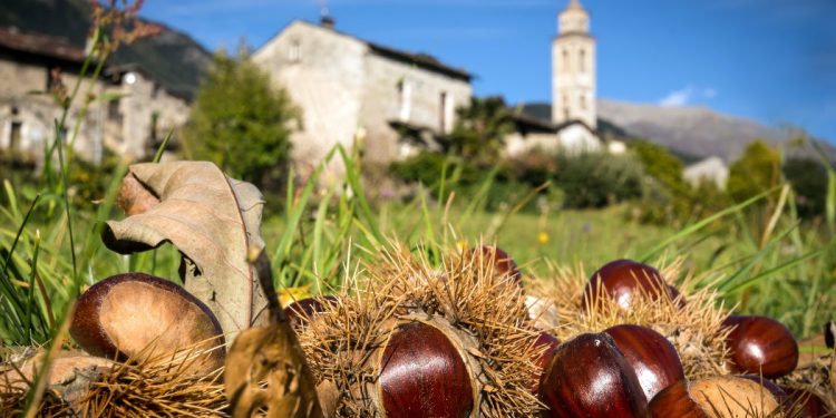 Gli eventi da non perdere nel fine settimana 22-23-24 ottobre