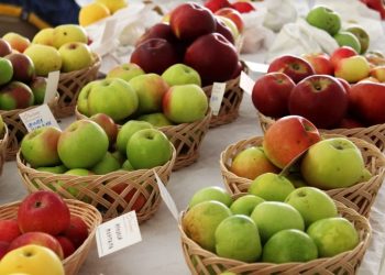 Sabato 9 e domenica 10 ottobre a Castel del Giudice (IS) si celebra la Festa della Mela