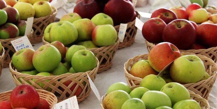 Sabato 9 e domenica 10 ottobre a Castel del Giudice (IS) si celebra la Festa della Mela