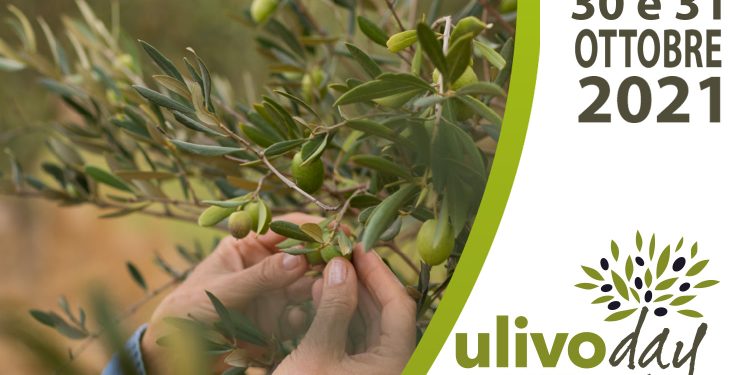 Sabato 30 e domenica 31 ottobre la prima edizione nazionale di Ulivo Day