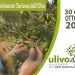 Sabato 30 e domenica 31 ottobre la prima edizione nazionale di Ulivo Day