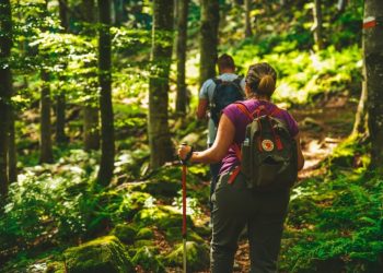 Alta Valtaro, un autunno tra porcini, castagne e tartufi