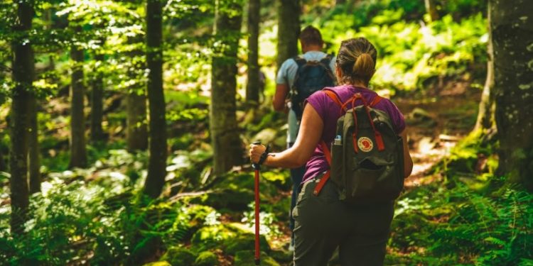 Alta Valtaro, un autunno tra porcini, castagne e tartufi