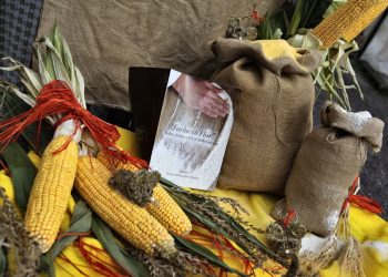 Domenica 21 novembre la festa del gusto e della tradizione a Sutrio, in Carnia