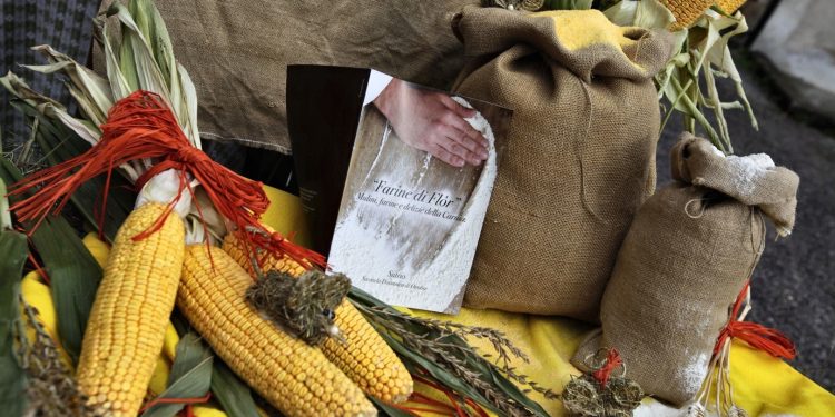 Domenica 21 novembre la festa del gusto e della tradizione a Sutrio, in Carnia