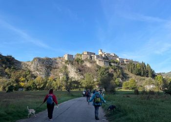 Gli eventi da non perdere nel fine settimana 12-13-14 novembre