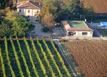 Nuova Convenzione Tessera Turit con la Cantina Case Marcosanti (RN)