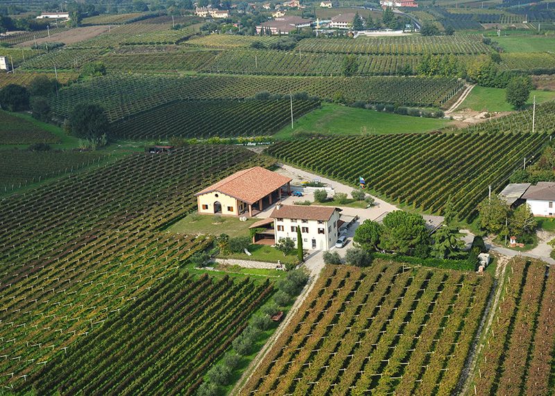 Nuova Convenzione Tessera Turit con l’Azienda Agricola Il Pignetto (VR)